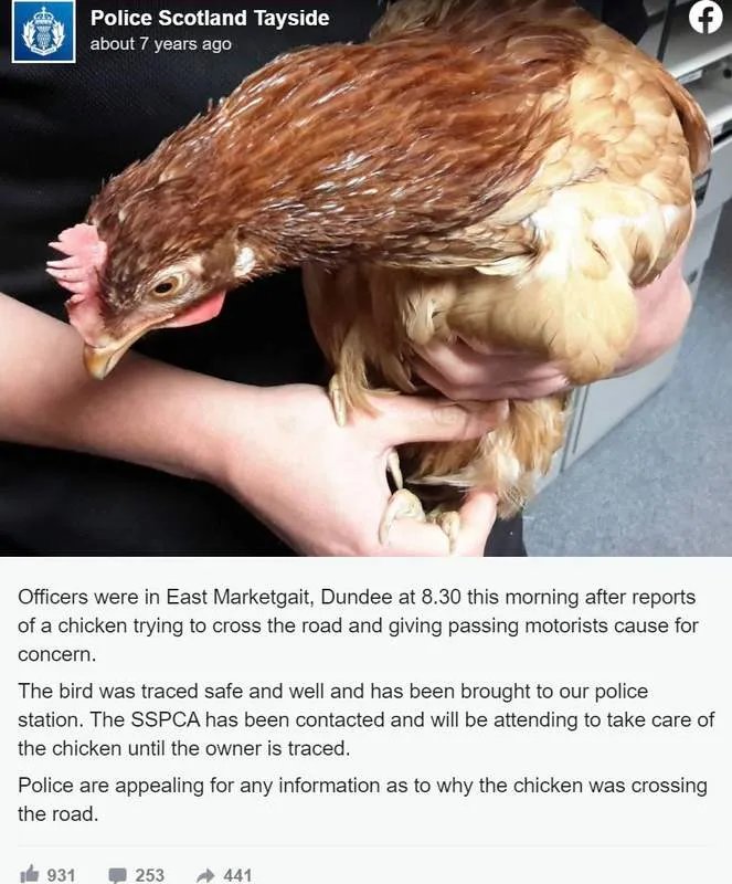 Descubra los Secretos del Juego de la Carretera de Pollo en España
